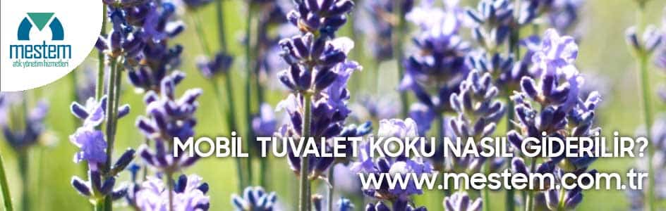 Blog Yazı
